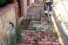 otlar-biciliyor
